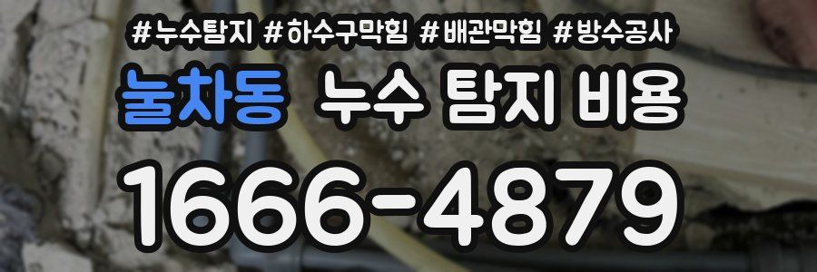 눌차동 누수 탐지 비용