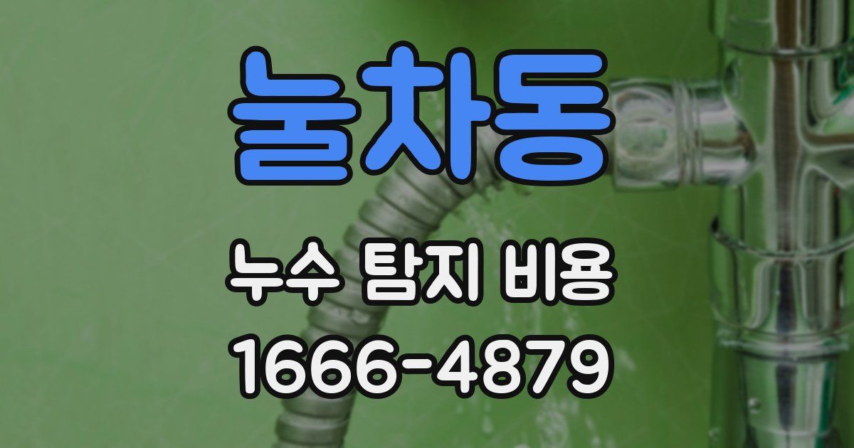 눌차동 누수 탐지 비용