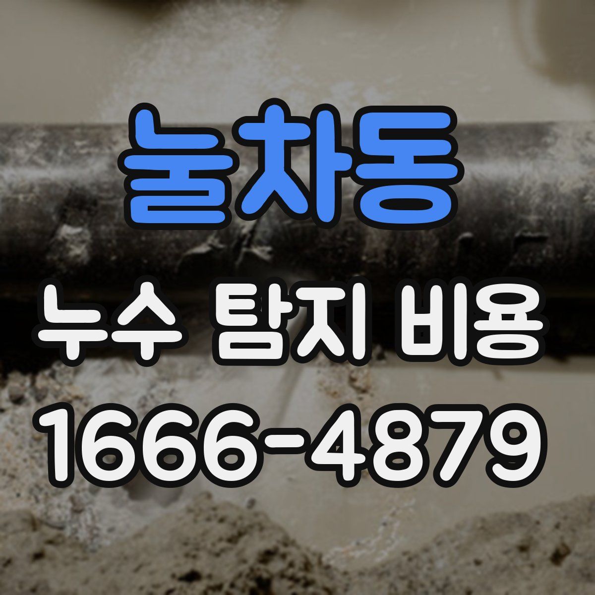 눌차동 누수 탐지 비용