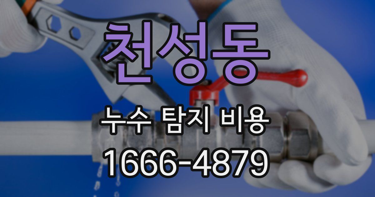 천성동 누수 탐지 비용