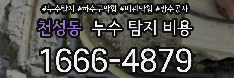 천성동 누수 탐지 비용