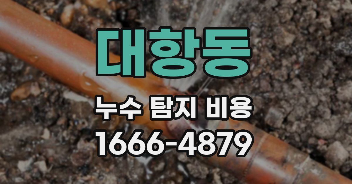 대항동 누수 탐지 비용