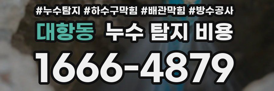 대항동 누수 탐지 비용