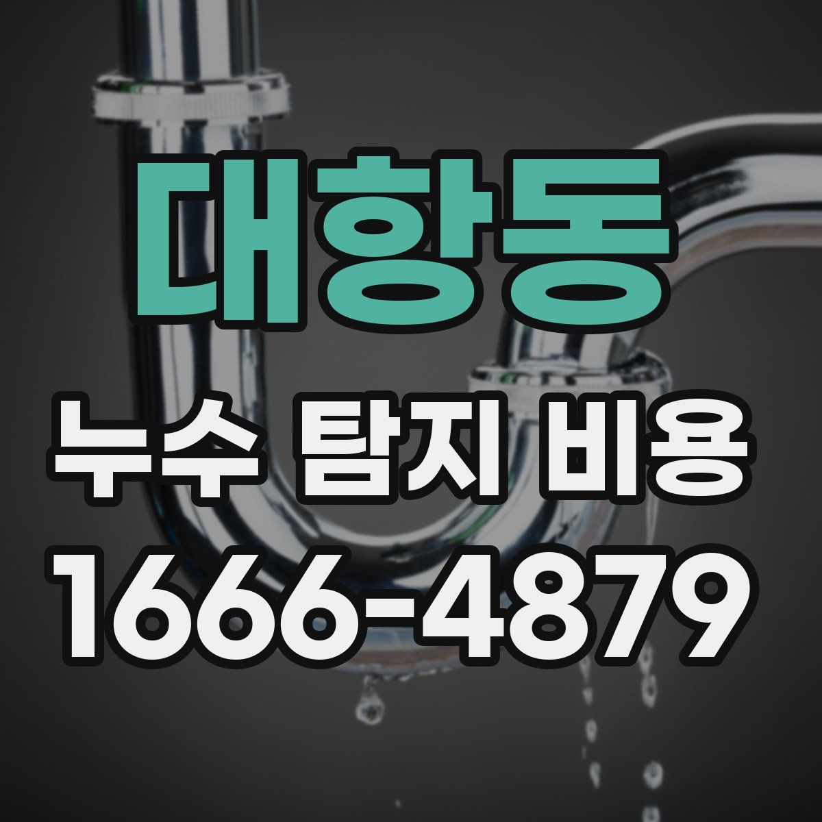 대항동 누수 탐지 비용