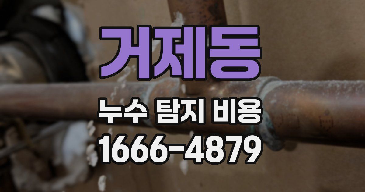거제동 누수 탐지 비용