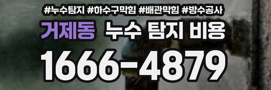 거제동 누수 탐지 비용