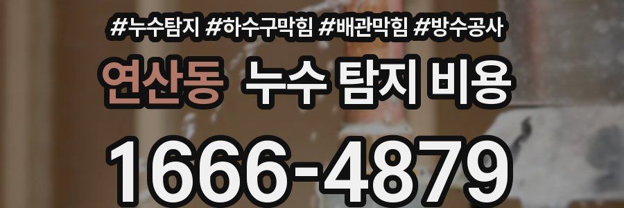 연산동 누수 탐지 비용