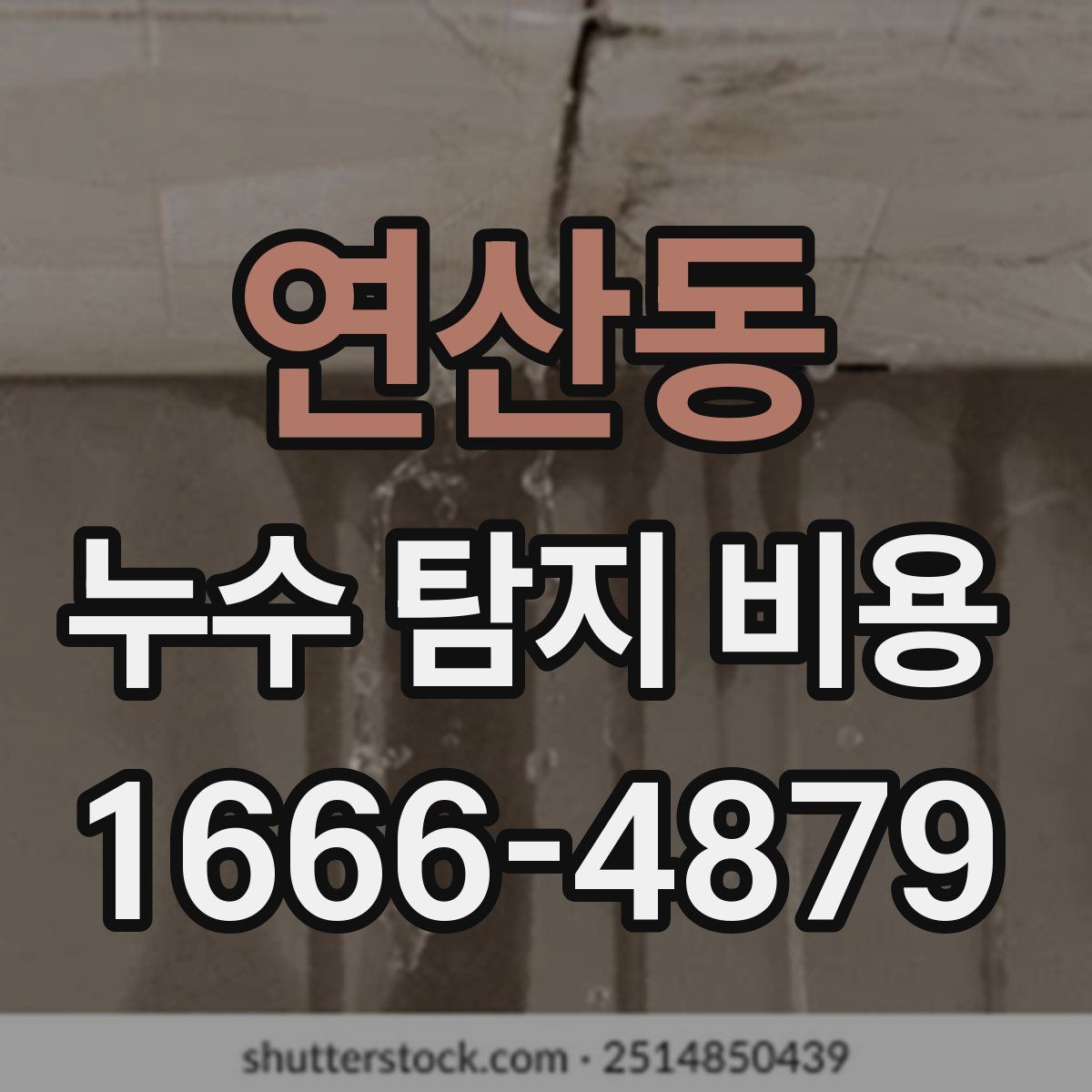 연산동 누수 탐지 비용