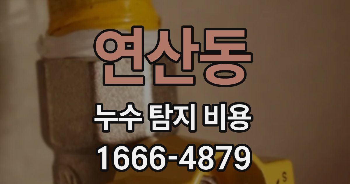 연산동 누수 탐지 비용