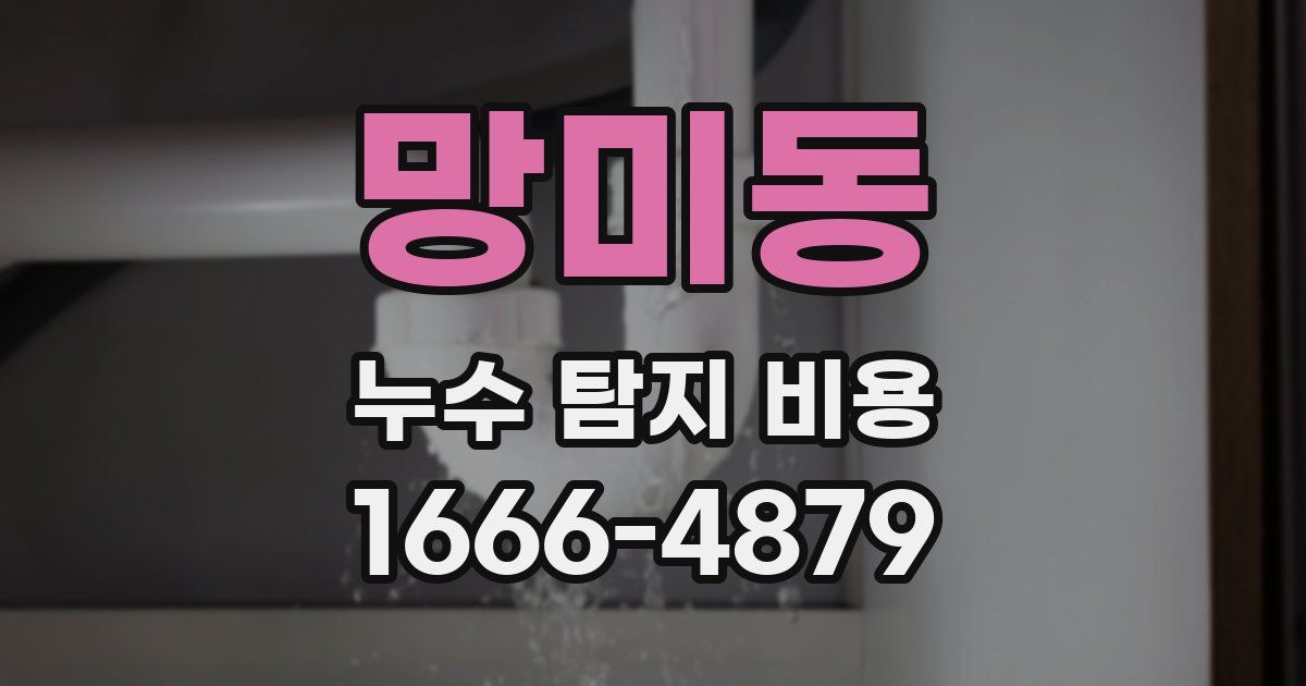 망미동 누수 탐지 비용