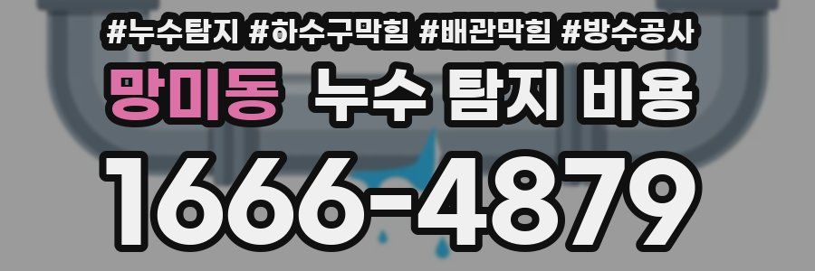 망미동 누수 탐지 비용