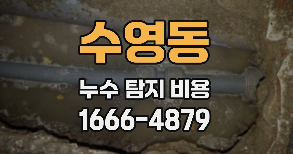 수영동 누수 탐지 비용