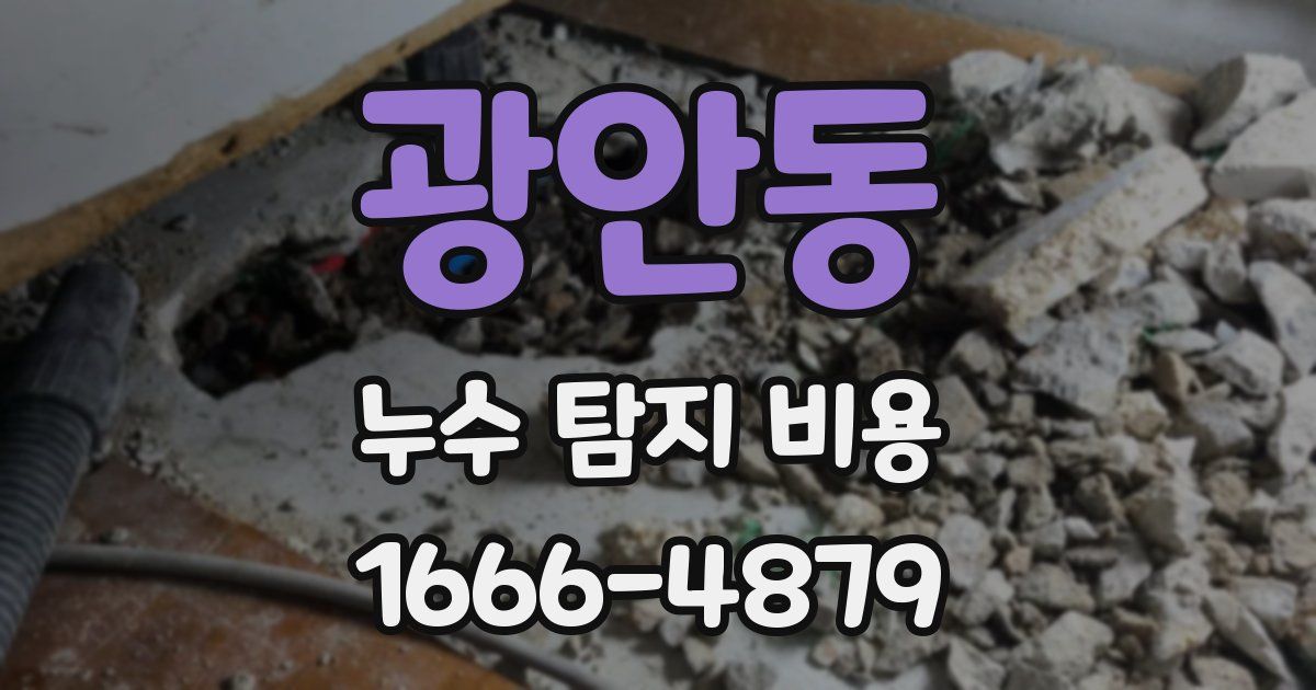 광안동 누수 탐지 비용