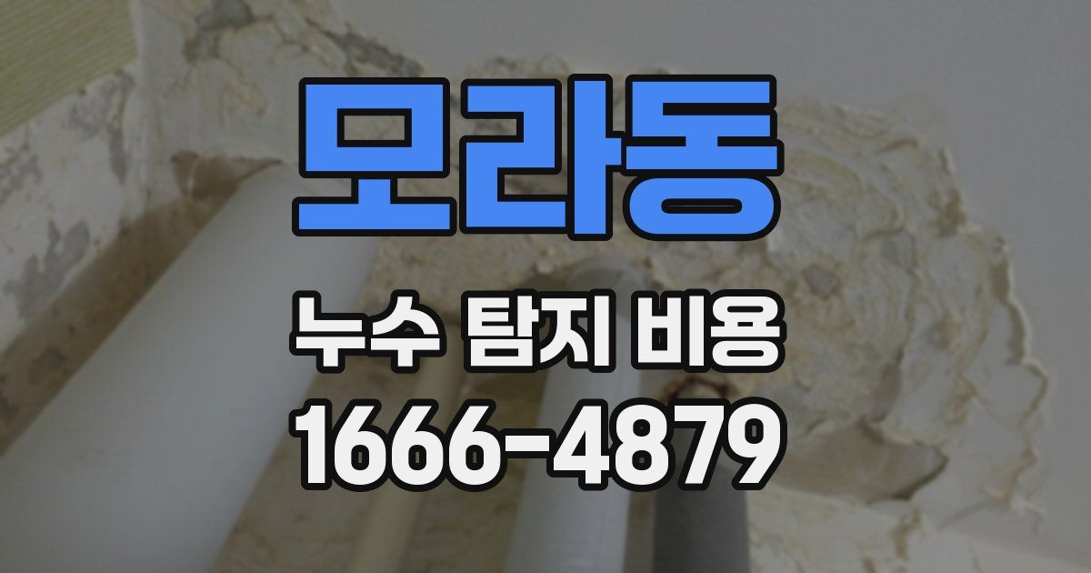 모라동 누수 탐지 비용