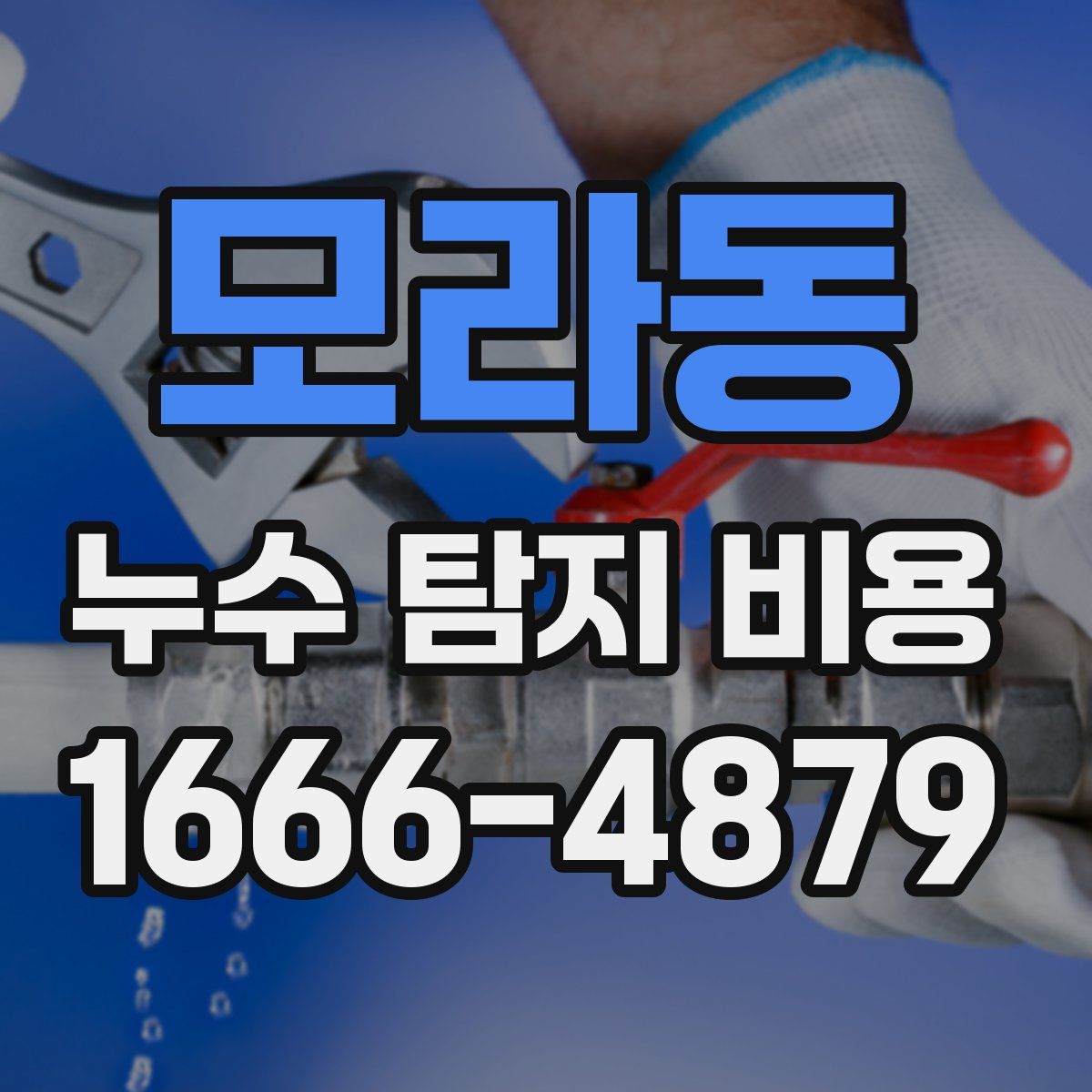 모라동 누수 탐지 비용