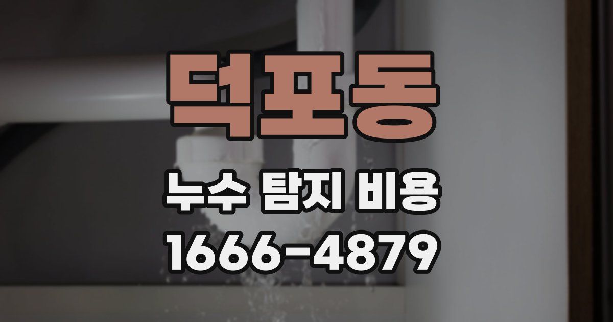 덕포동 누수 탐지 비용