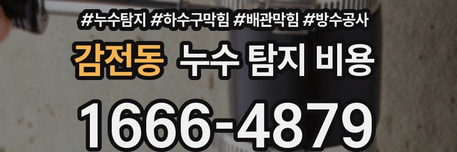 감전동 누수 탐지 비용