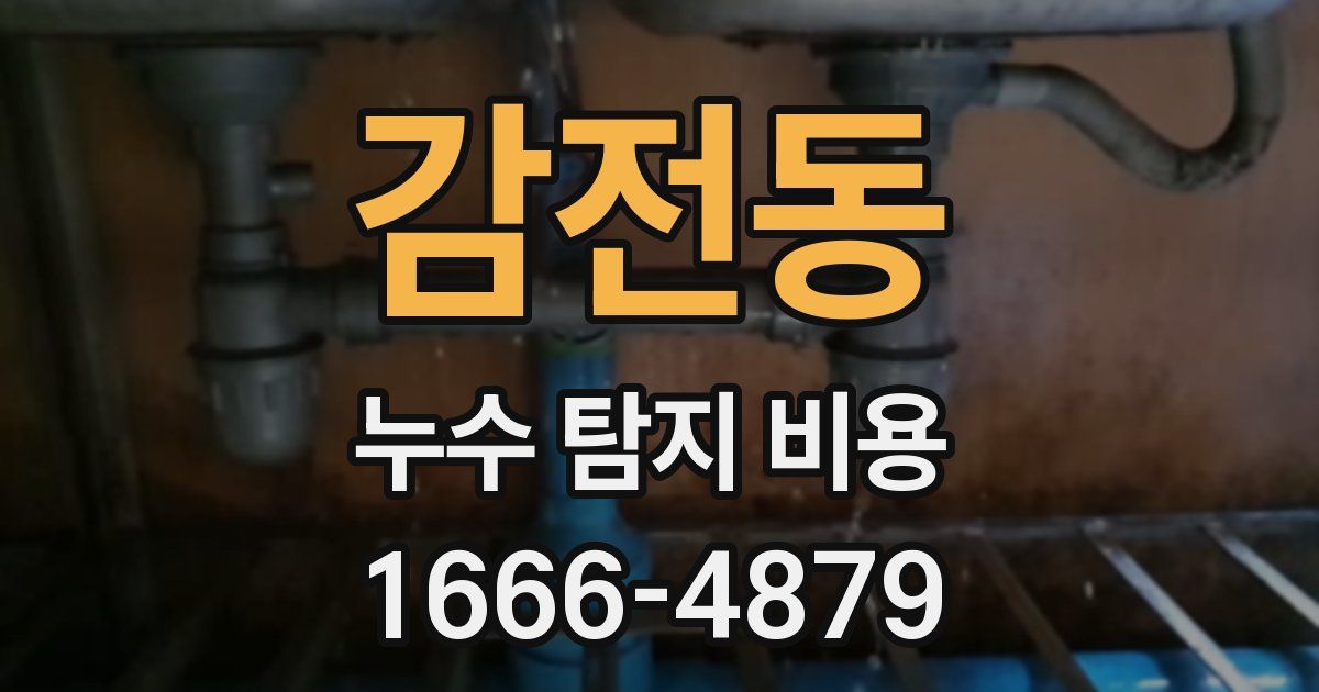 감전동 누수 탐지 비용