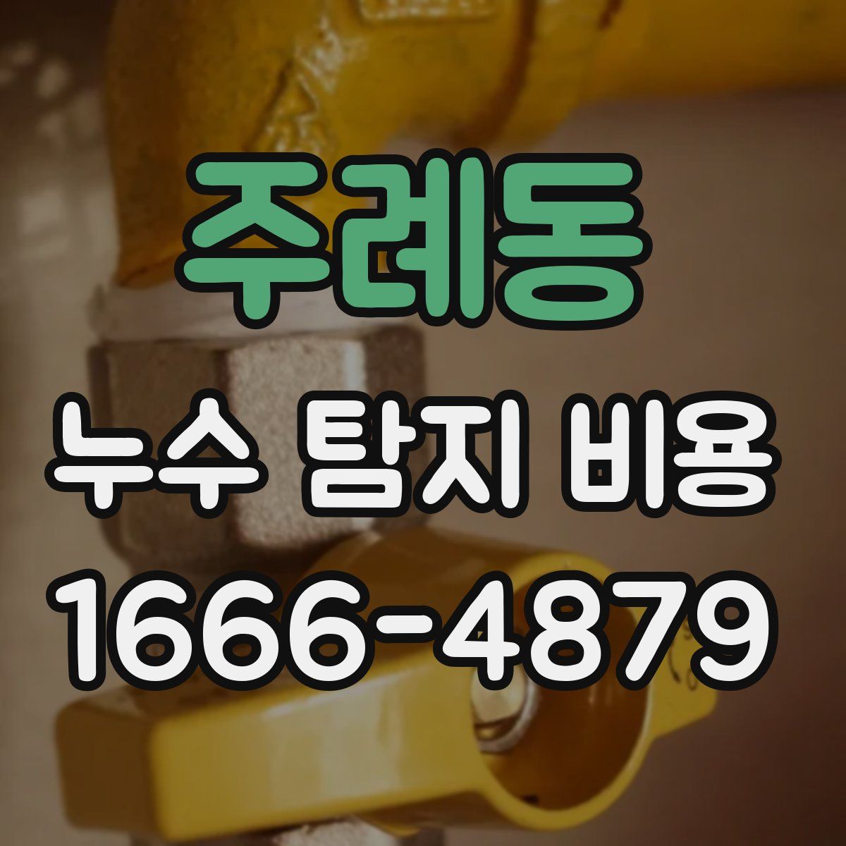 주례동 누수 탐지 비용