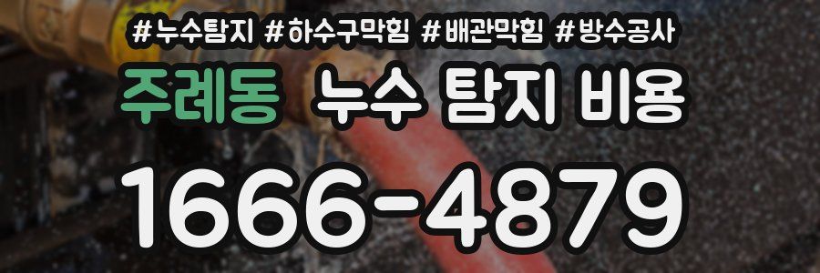 주례동 누수 탐지 비용