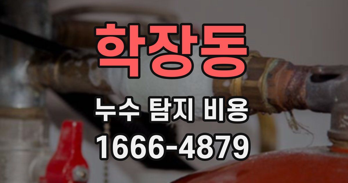 학장동 누수 탐지 비용