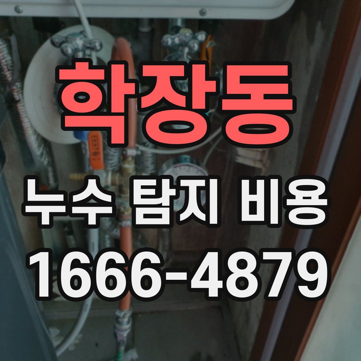 학장동 누수 탐지 비용