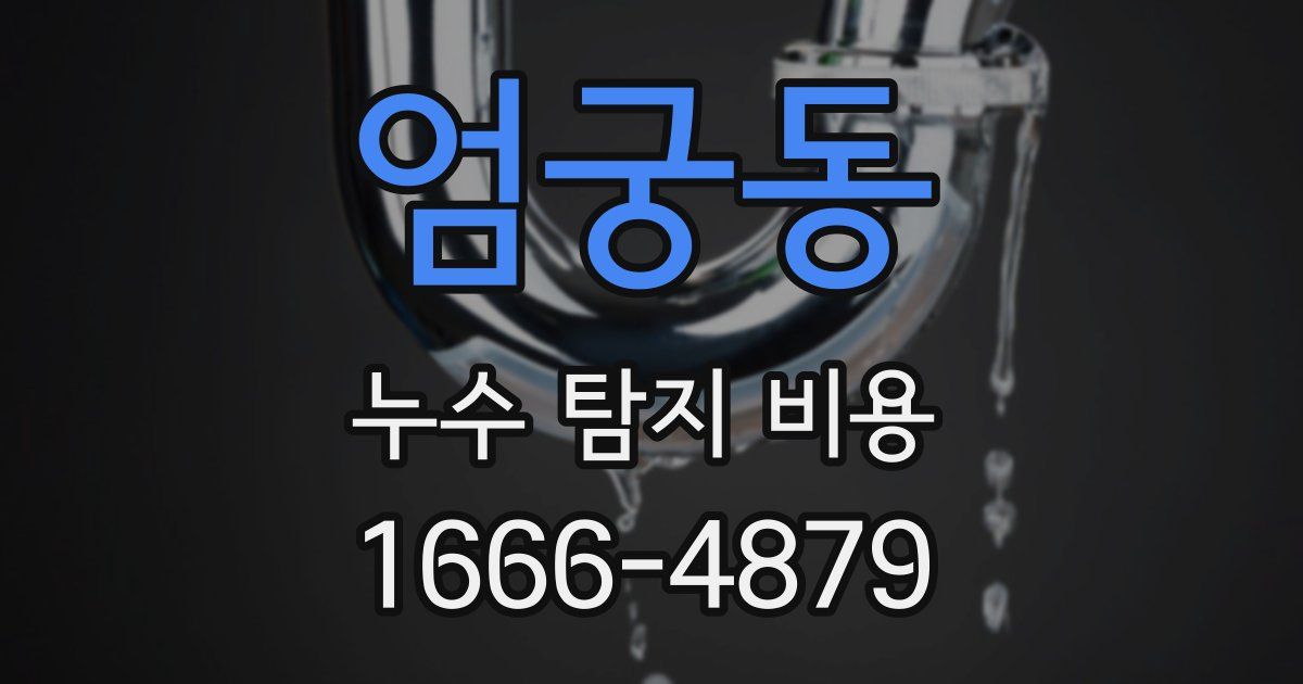 엄궁동 누수 탐지 비용