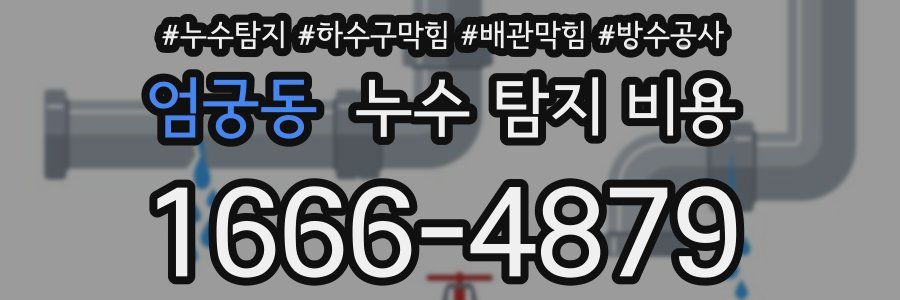 엄궁동 누수 탐지 비용