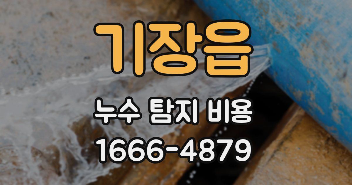 기장읍 누수 탐지 비용