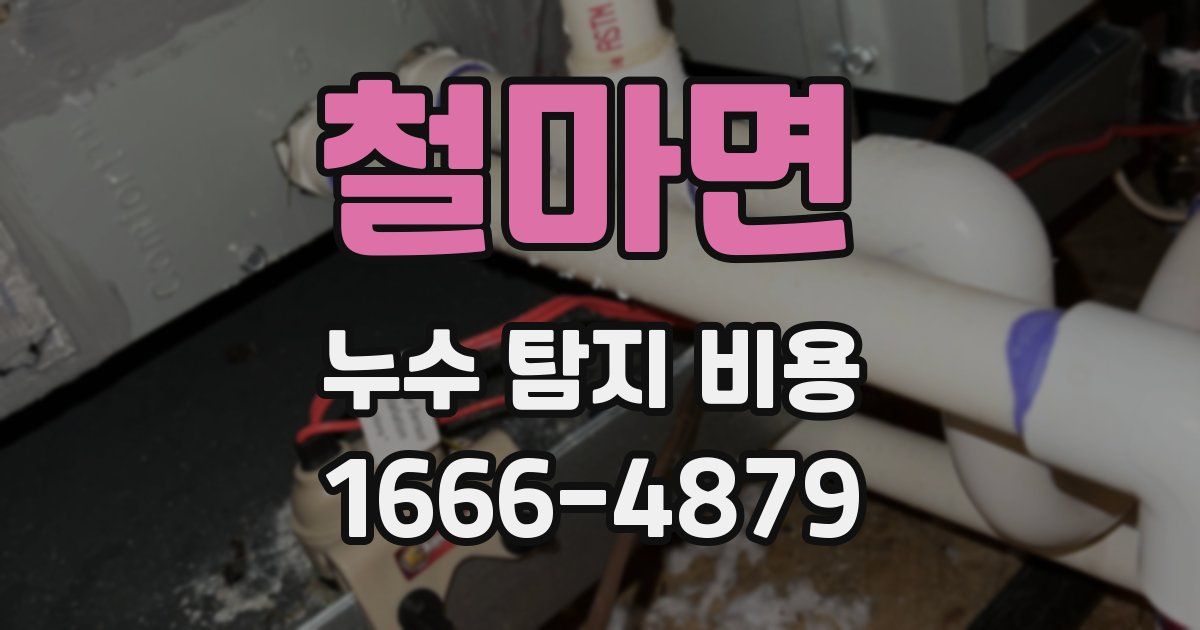철마면 누수 탐지 비용