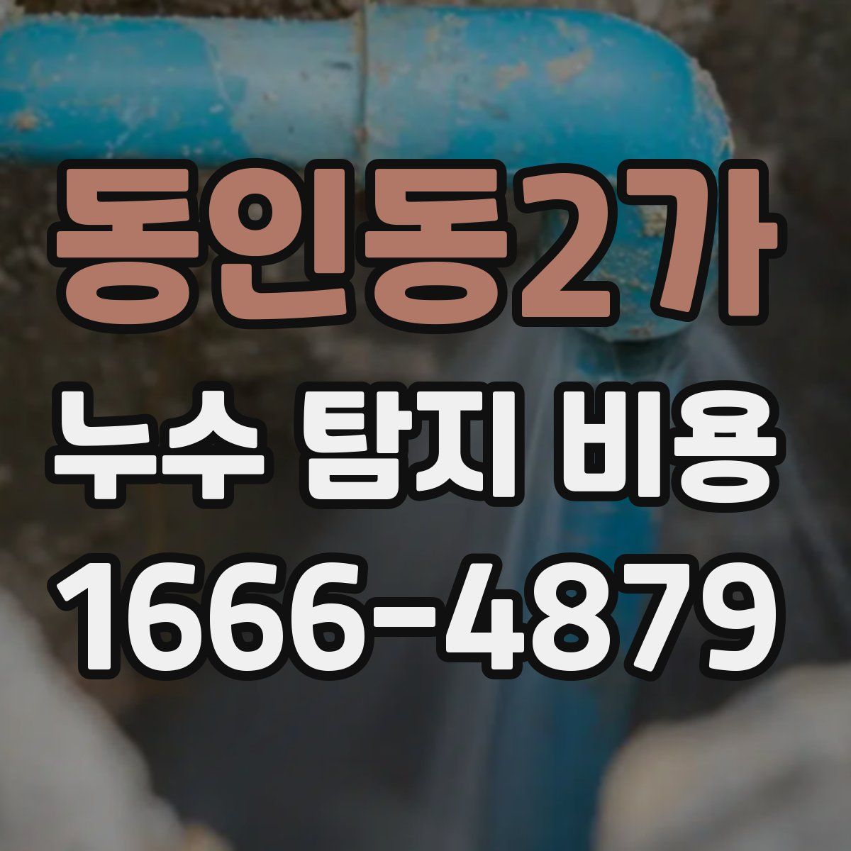 동인동2가 누수 탐지 비용