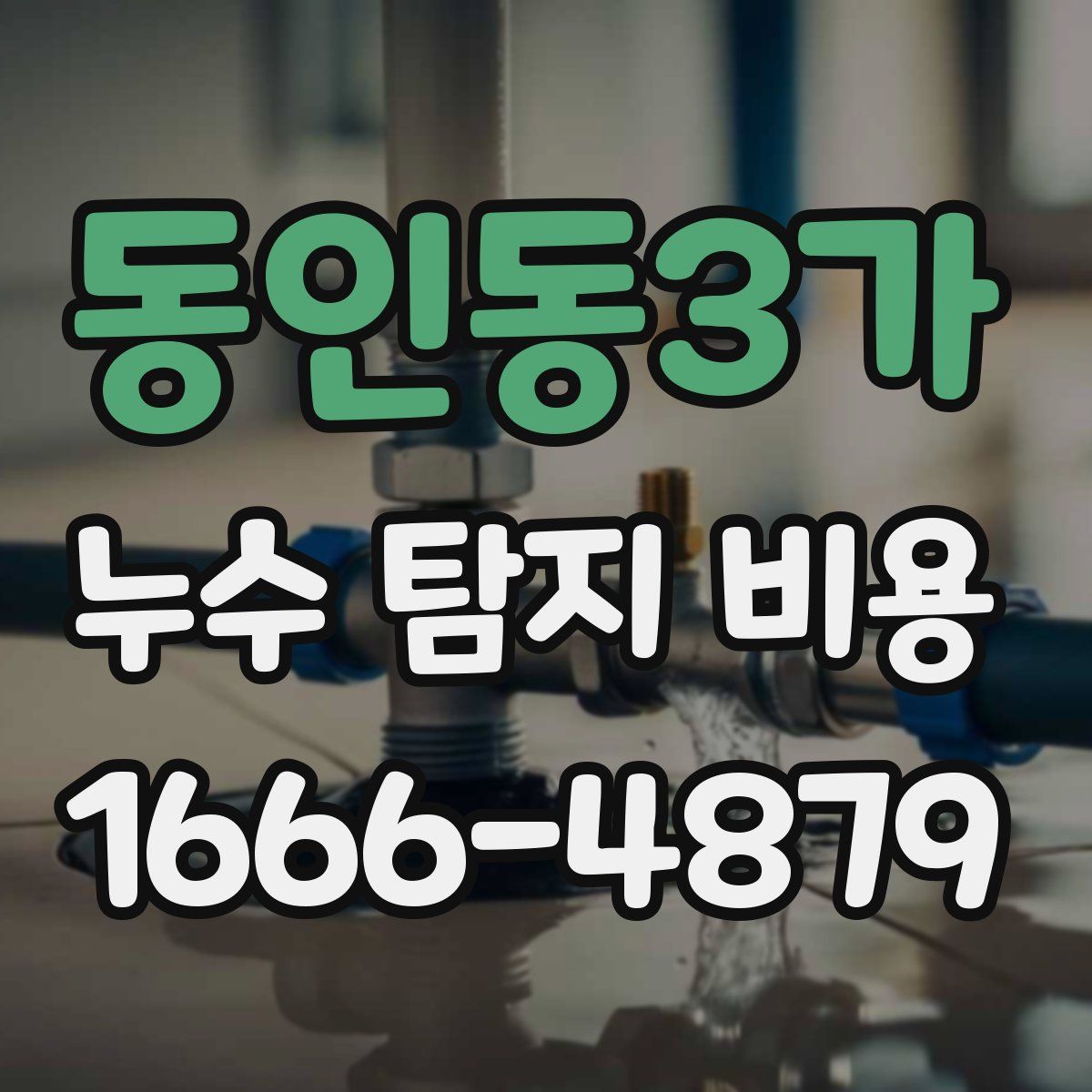 동인동3가 누수 탐지 비용