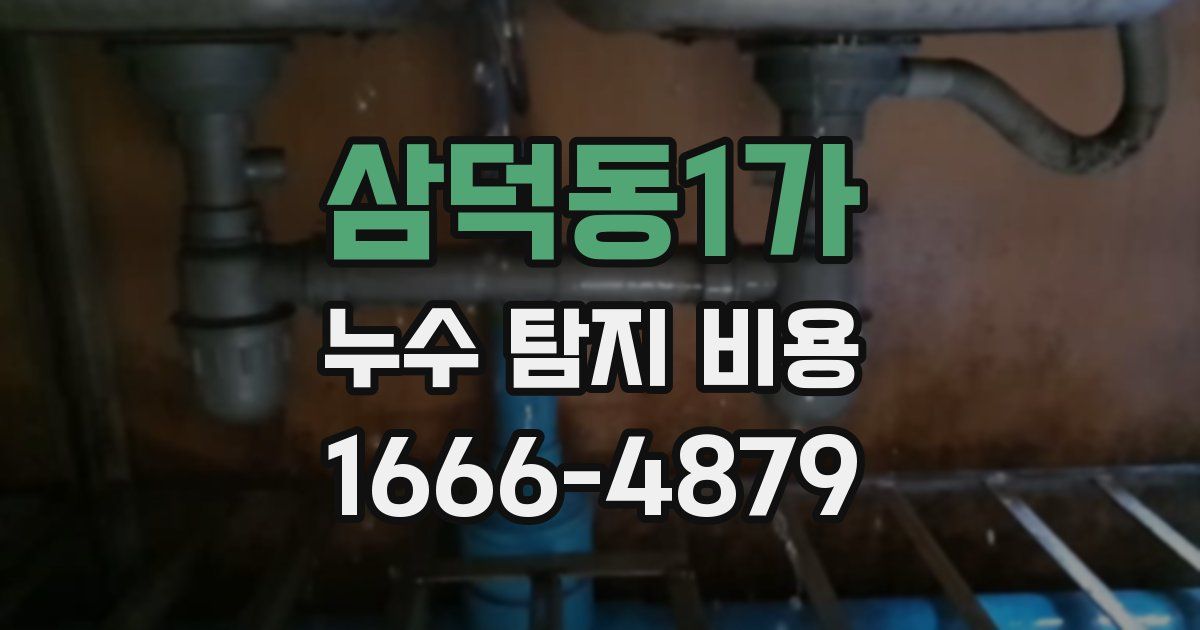 삼덕동1가 누수 탐지 비용