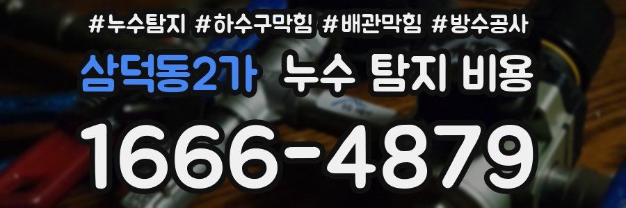 삼덕동2가 누수 탐지 비용