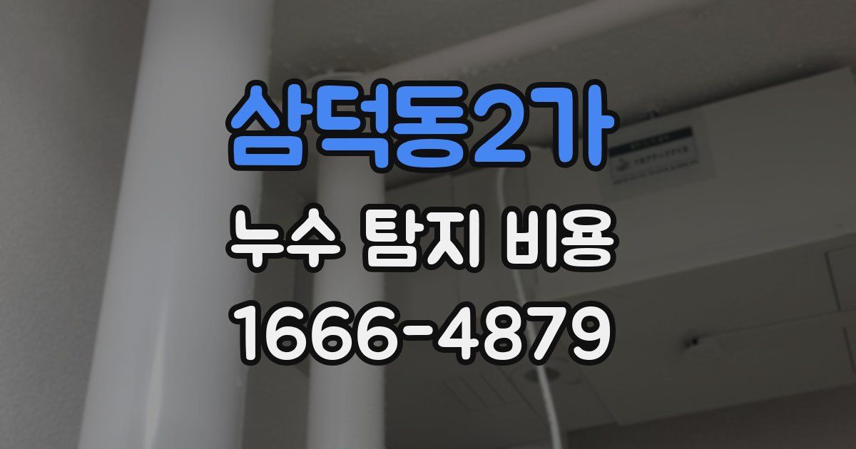 삼덕동2가 누수 탐지 비용
