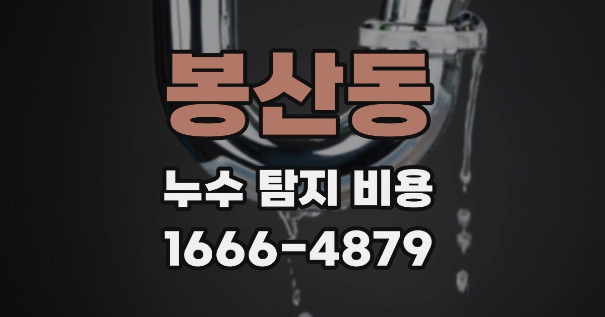 봉산동 누수 탐지 비용
