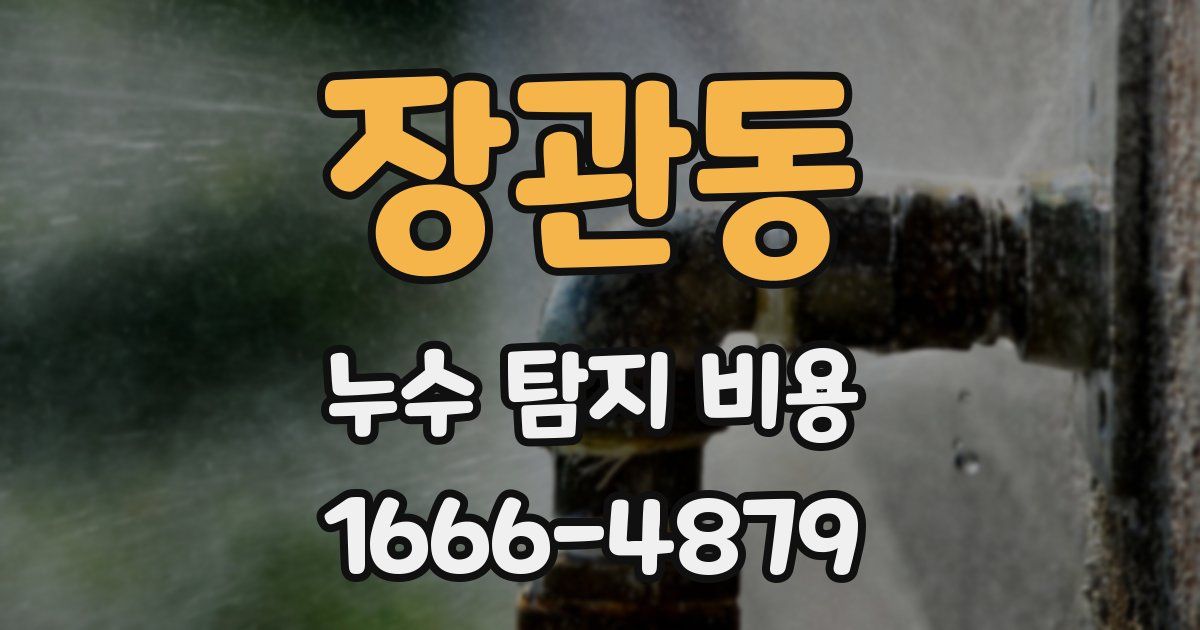 장관동 누수 탐지 비용