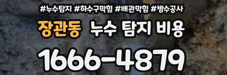 장관동 누수 탐지 비용