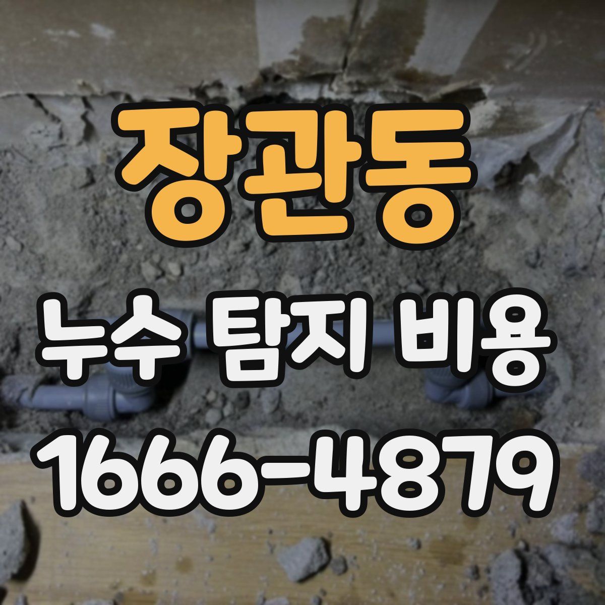 장관동 누수 탐지 비용