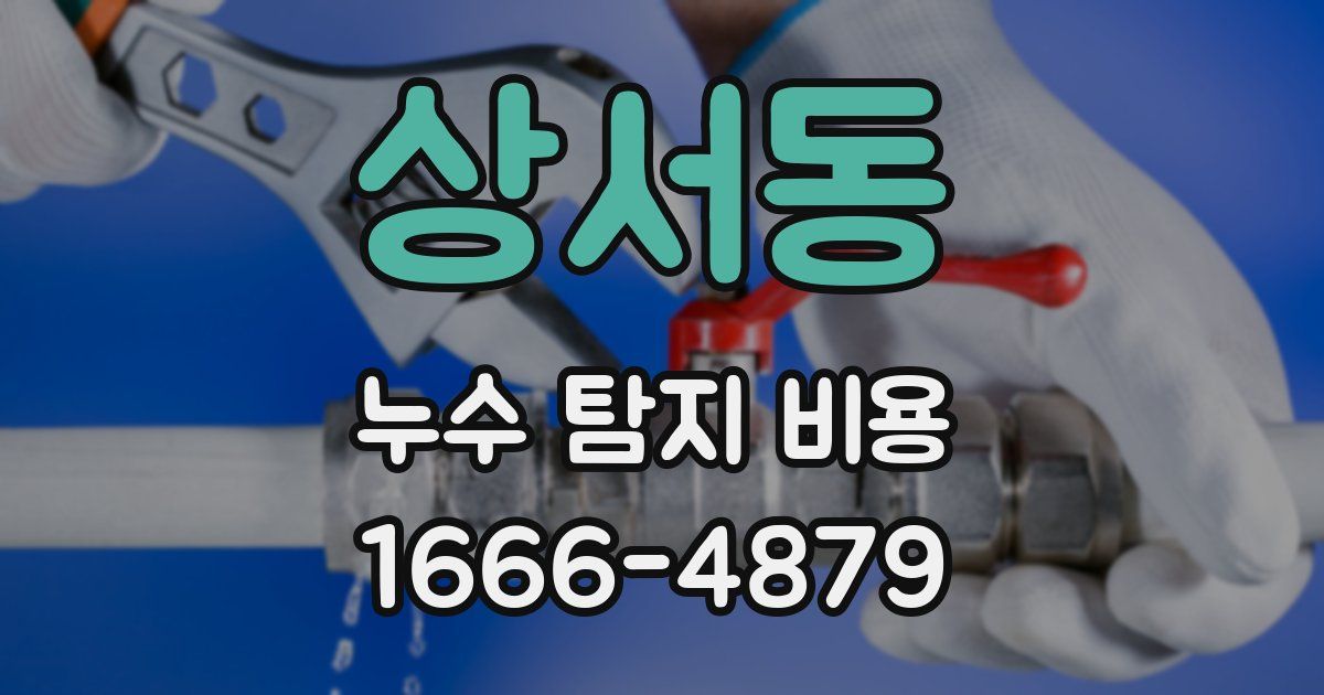 상서동 누수 탐지 비용
