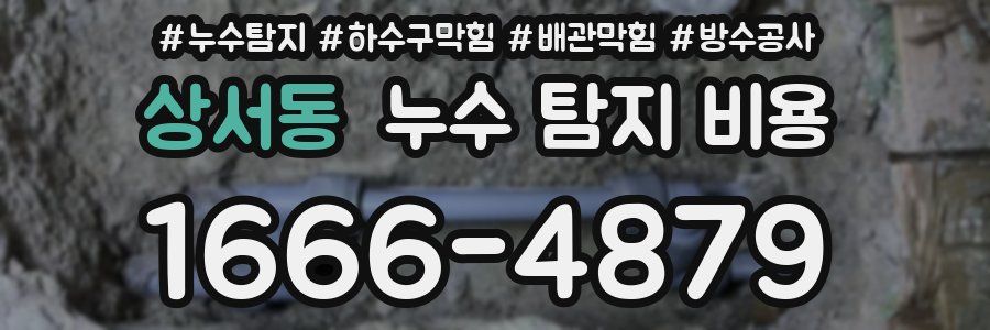 상서동 누수 탐지 비용