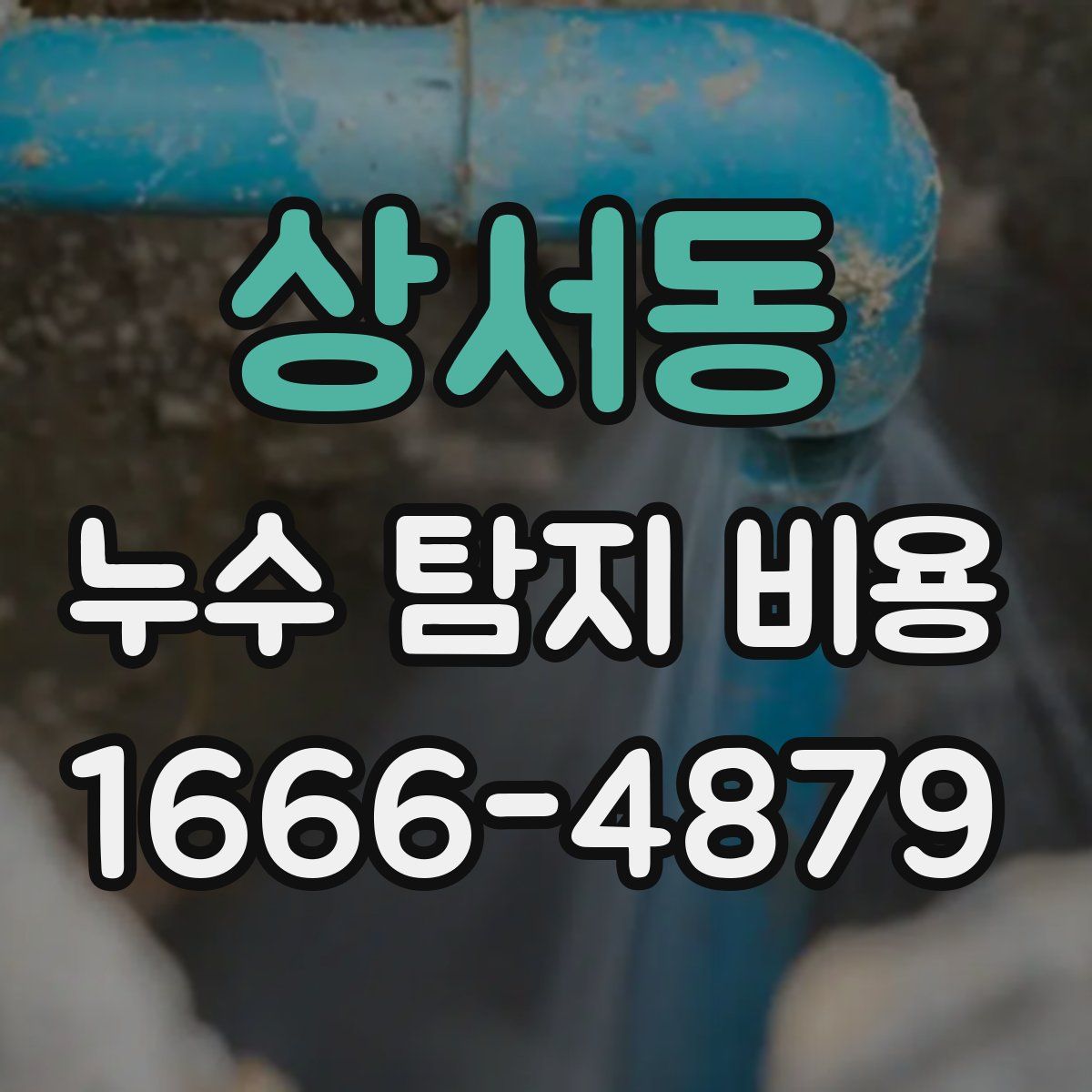 상서동 누수 탐지 비용