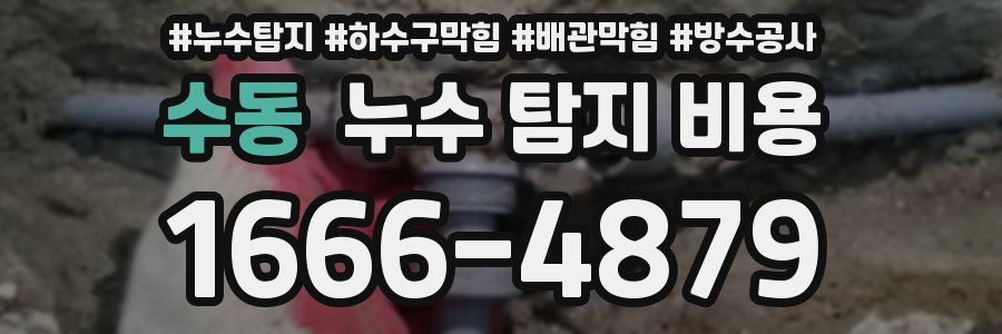 수동 누수 탐지 비용