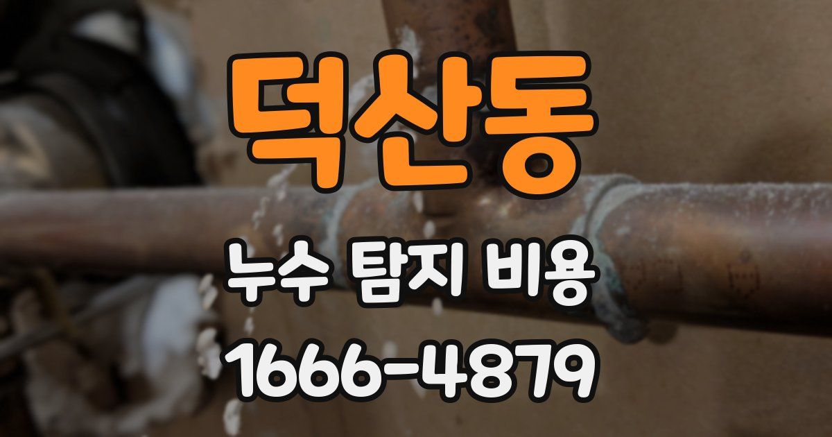 덕산동 누수 탐지 비용