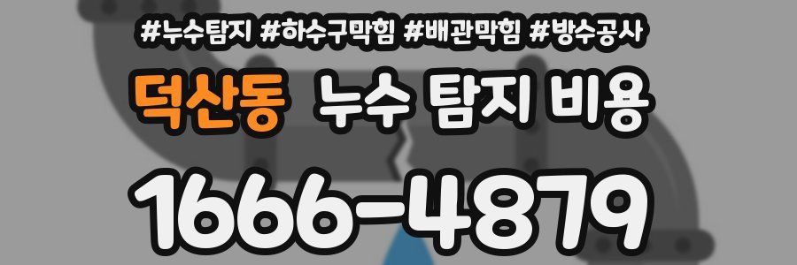 덕산동 누수 탐지 비용