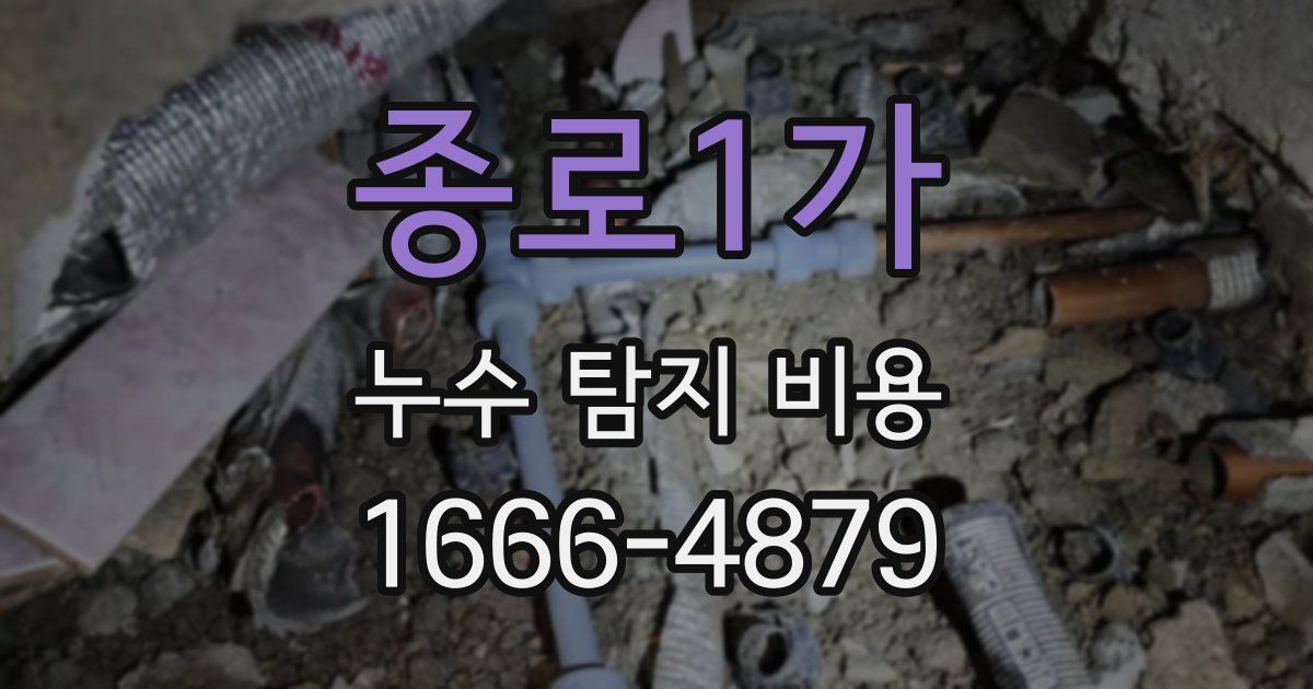 종로1가 누수 탐지 비용