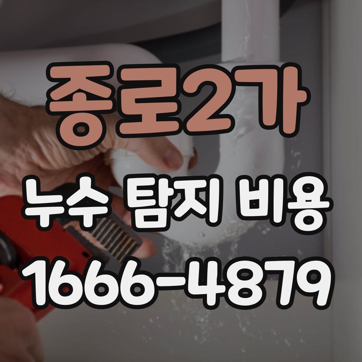 종로2가 누수 탐지 비용