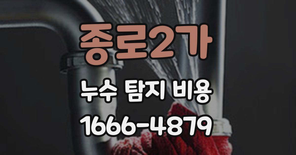 종로2가 누수 탐지 비용