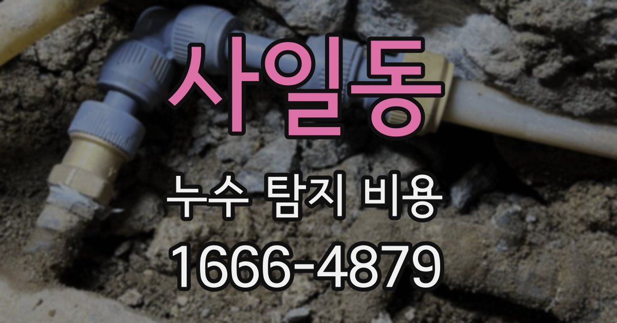 사일동 누수 탐지 비용