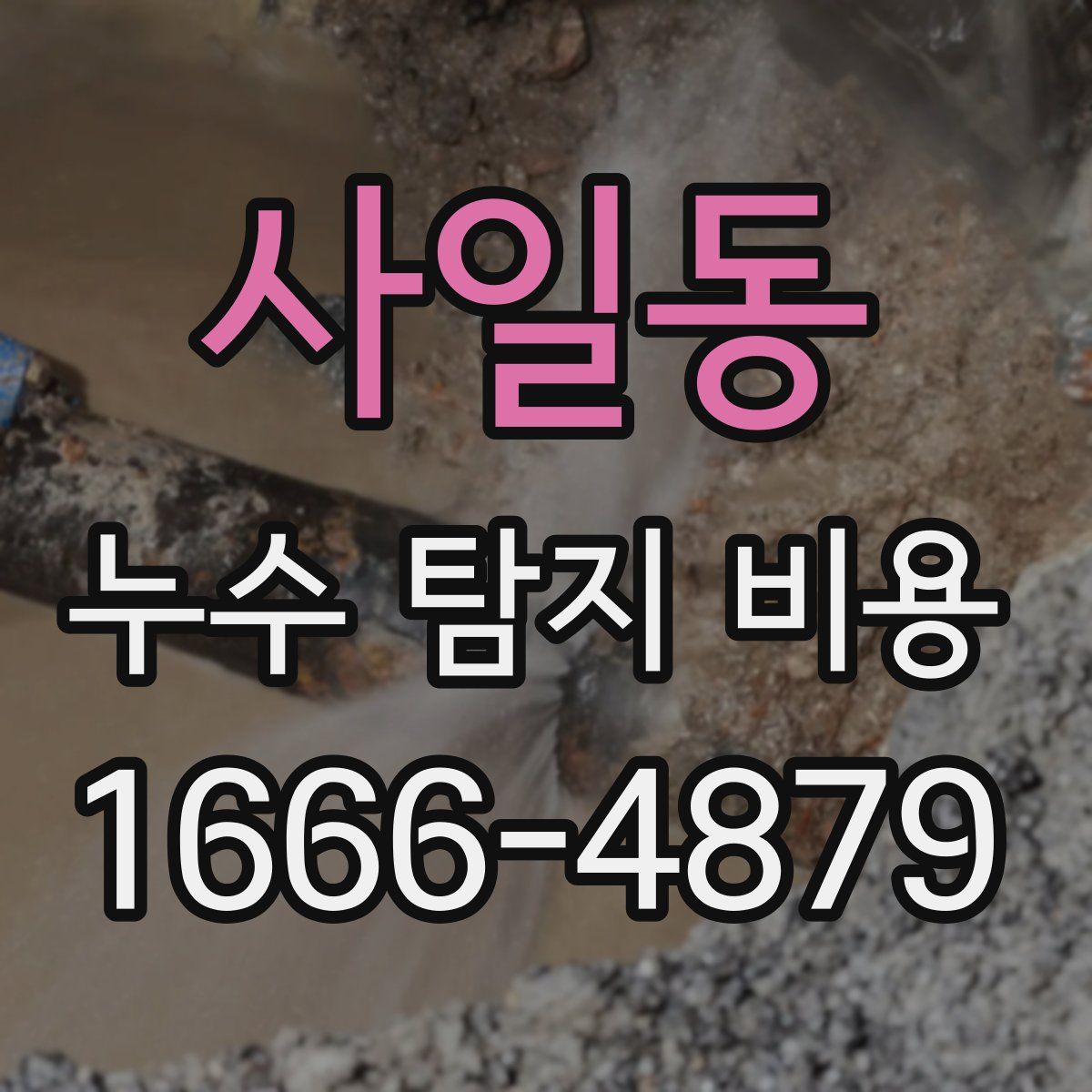사일동 누수 탐지 비용
